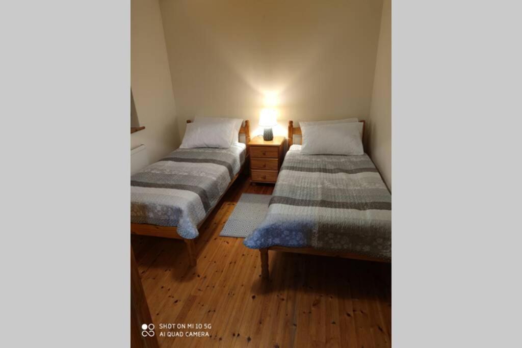 Townhouse 3 Barrow Lane Villa Bagenalstown ภายนอก รูปภาพ